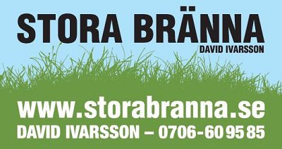 Stora Bränna Logotyp